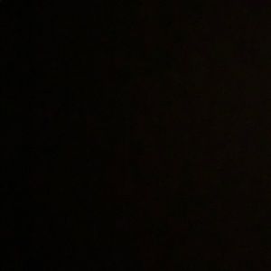 Meet your Posher, Julius